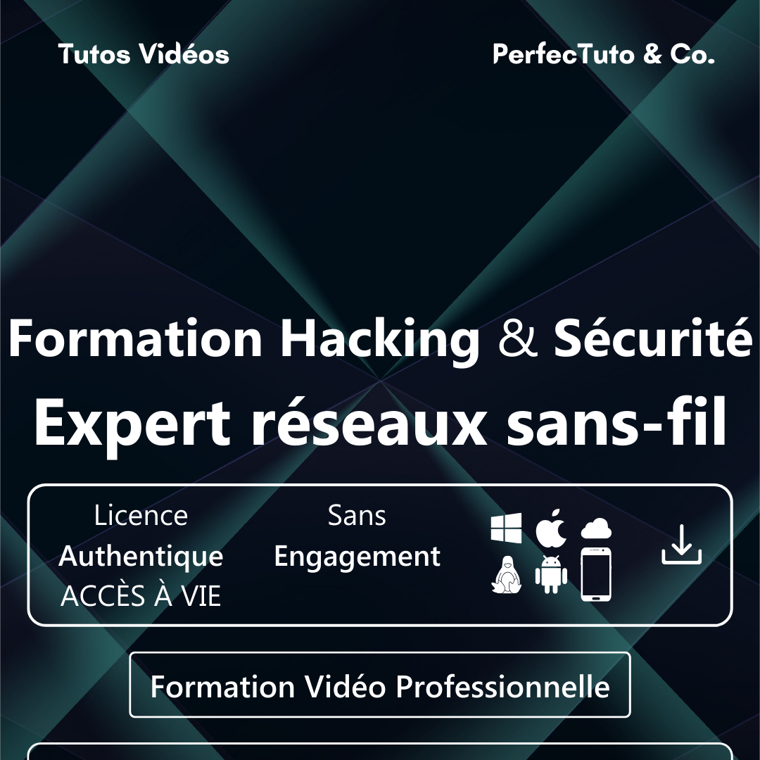 Formation Hacking et Sécurité : Expert réseaux sans-fil_1