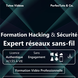 Formation Hacking et Sécurité : Expert réseaux sans-fil