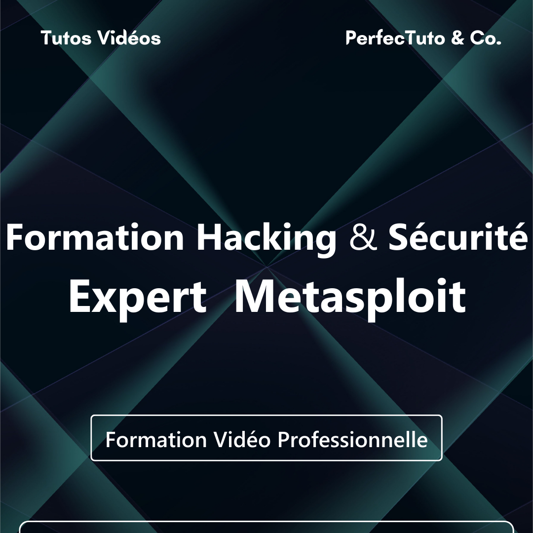 Formation Hacking et Sécurité : Expert Metasploit_0