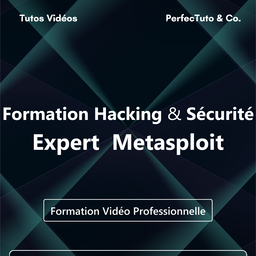 Formation Hacking et Sécurité : Expert Metasploit