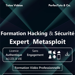 Formation Hacking et Sécurité : Expert Metasploit