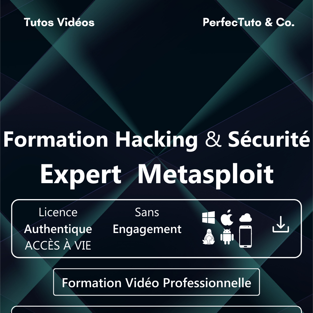 Formation Hacking et Sécurité : Expert Metasploit_1