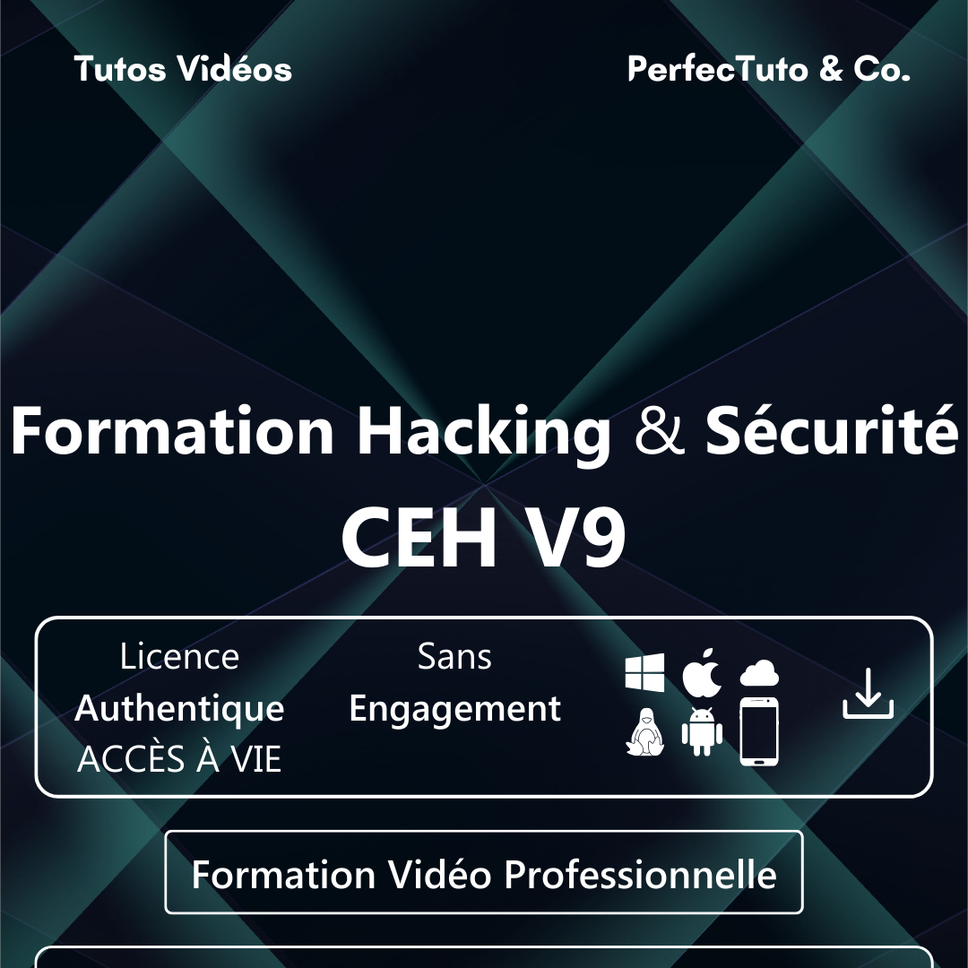 Formation Hacking Sécurité CEH V9_1