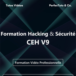 Formation Hacking Sécurité CEH V9