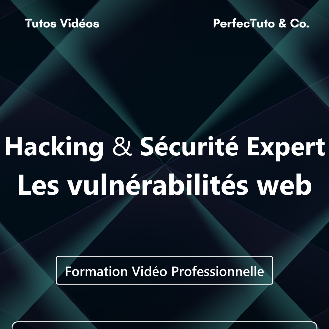 Hacking et Sécurité Expert : Les vulnérabilités web_0
