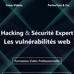 Hacking et Sécurité Expert : Les vulnérabilités web