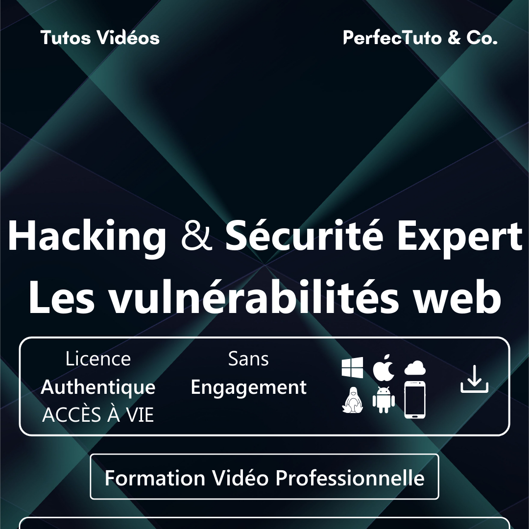 Hacking et Sécurité Expert : Les vulnérabilités web_1