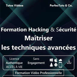 Hacking et Sécurité : Maîtriser les techniques avancées