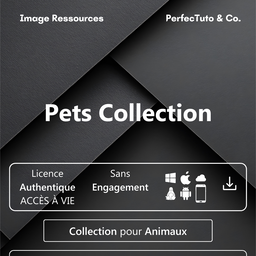 Collection pour Animaux
