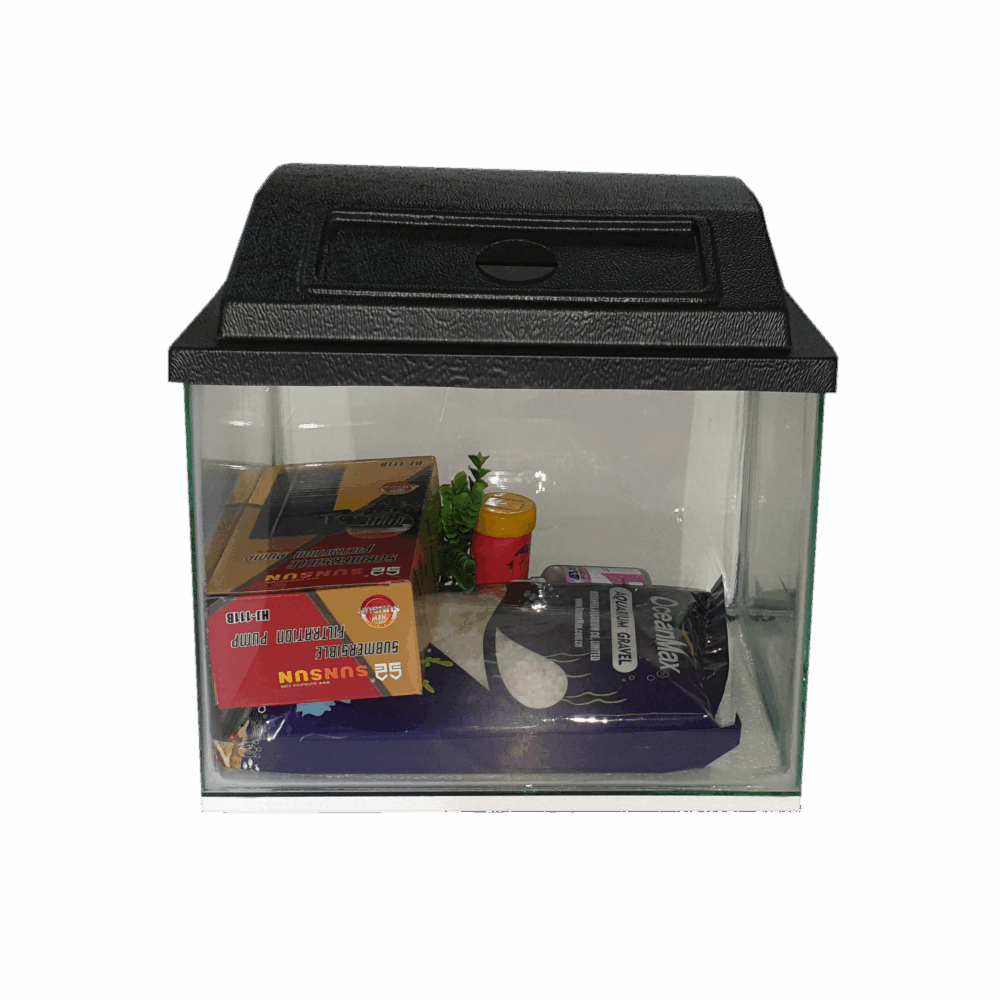 Aquarium Starter Kits_1