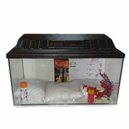 Aquarium Starter Kits