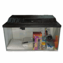 Aquarium Starter Kits