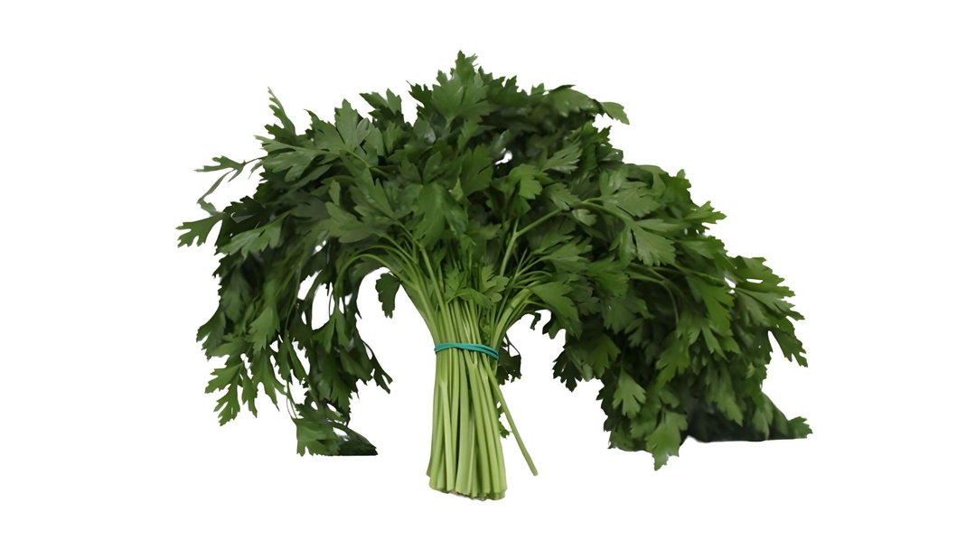 Julivert