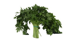 Julivert