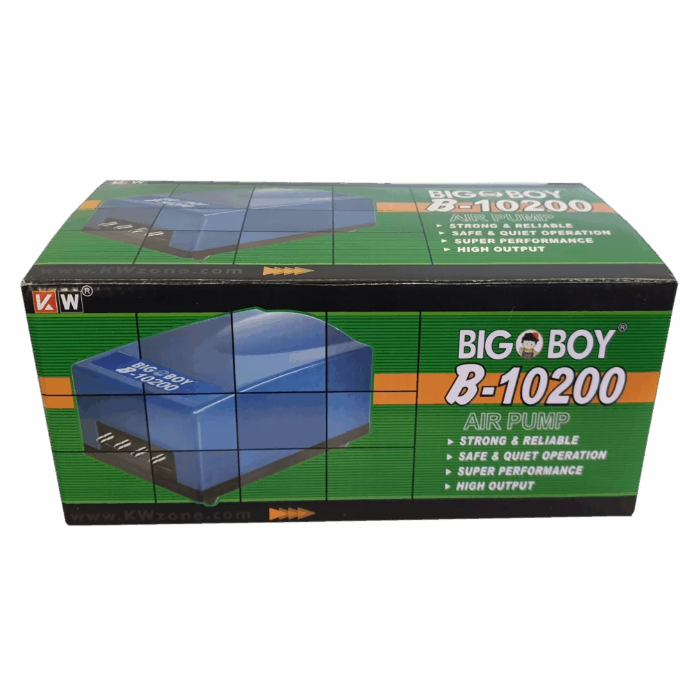 Big Boy B-10200 4 Outlet Air Pump_1