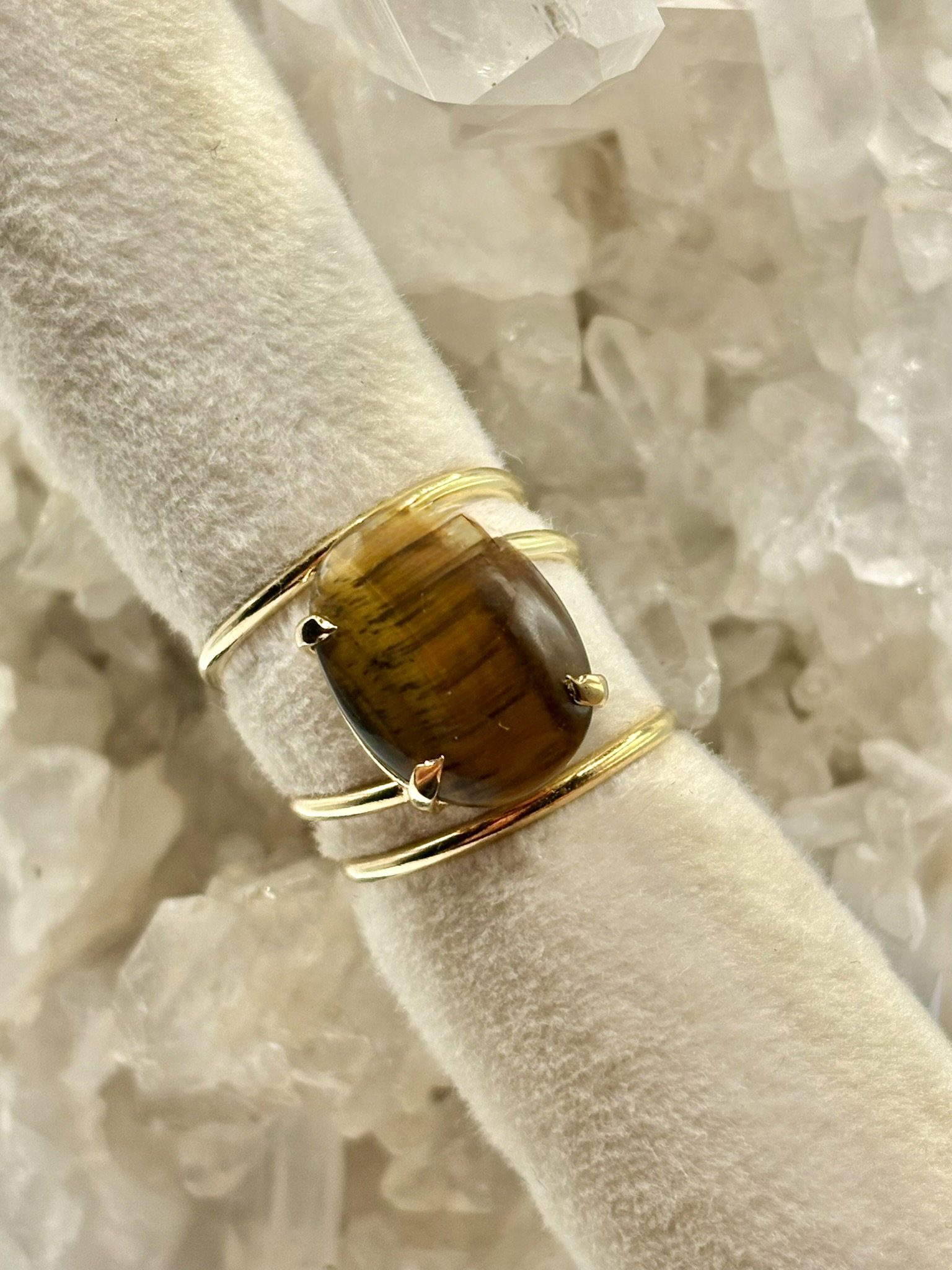 Anillo Leonia_11