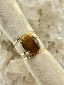 Anillo Leonia