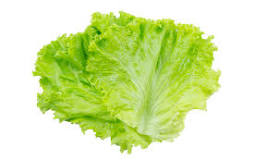 Lettuce