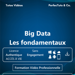 Big Data : Les fondamentaux