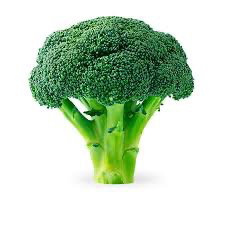 Bròcoli_0