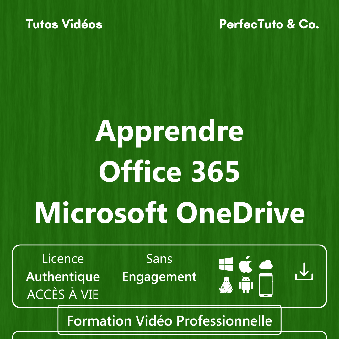 Apprendre Office 365 – Microsoft OneDrive_1