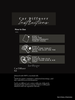 Car Diffuser Set - beHyge