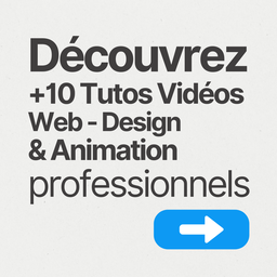 Web - Design - Animation