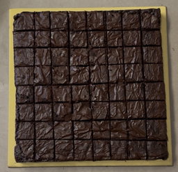 Large Brownie (10' x 10' inch) 