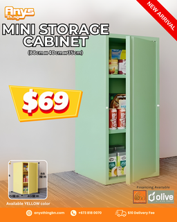 mini storage cabinet