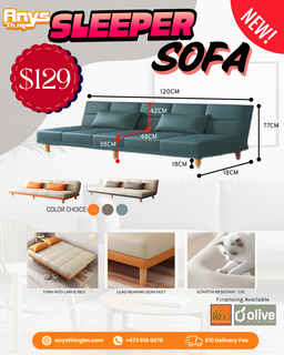 sleeper sofa 
