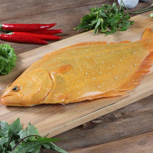 Korea Golden Flounder_0
