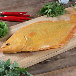 Korea Golden Flounder