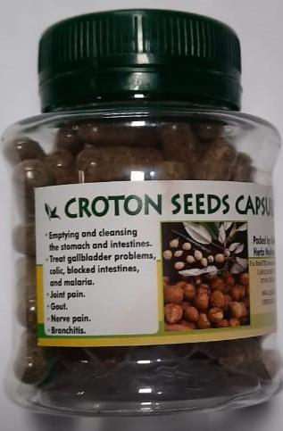  Croton Seeds Capsules