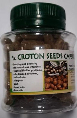  Croton Seeds Capsules