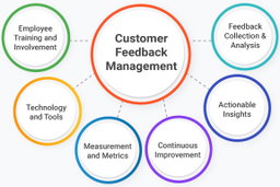FEEDBACK SOFTWARE PRO