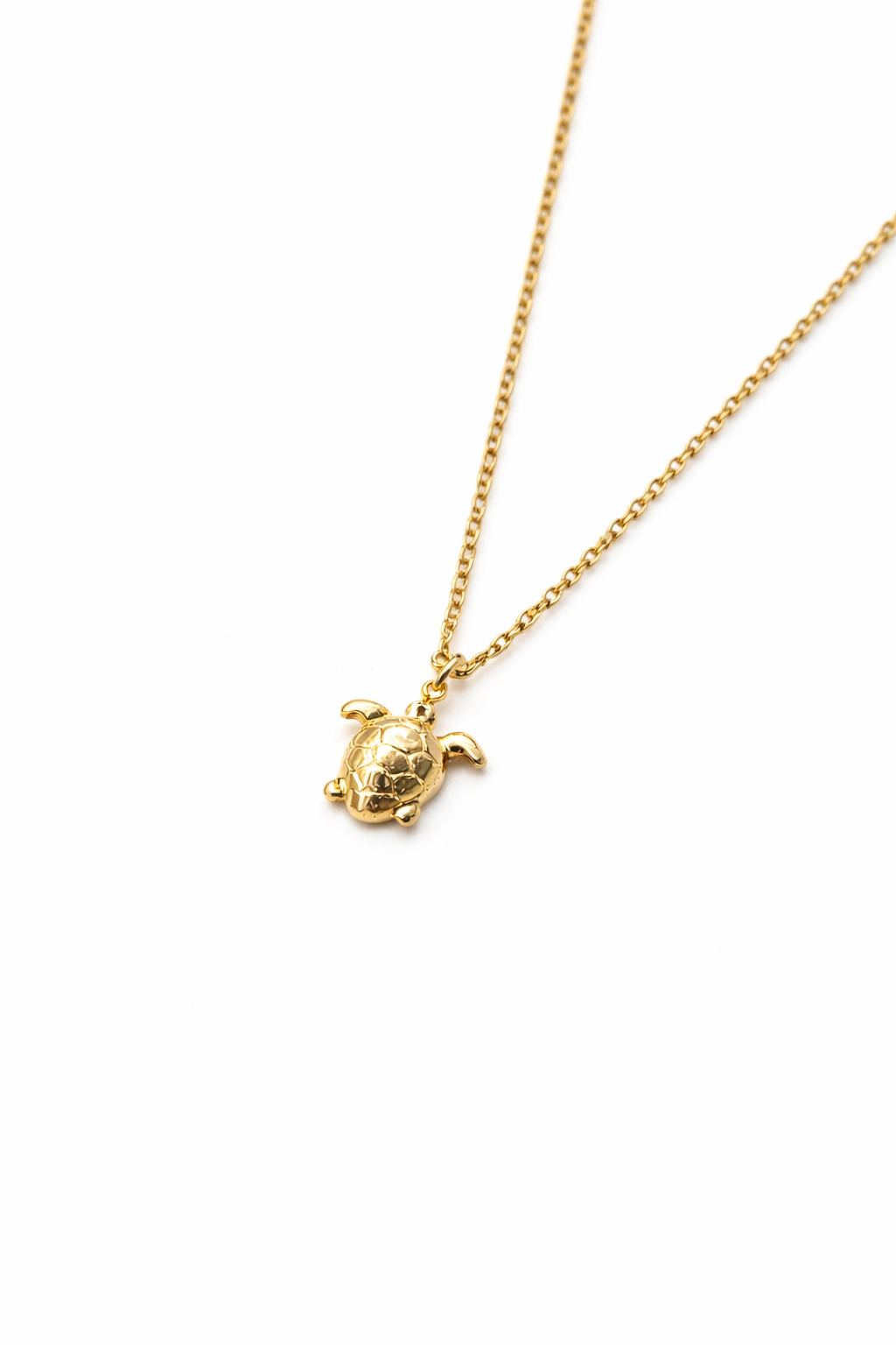 Reef Guardian Turtle Necklace_1
