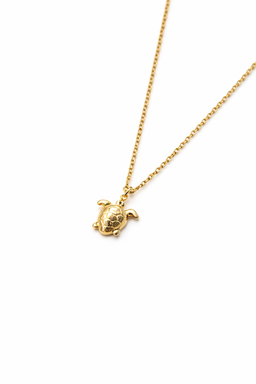 Reef Guardian Turtle Necklace