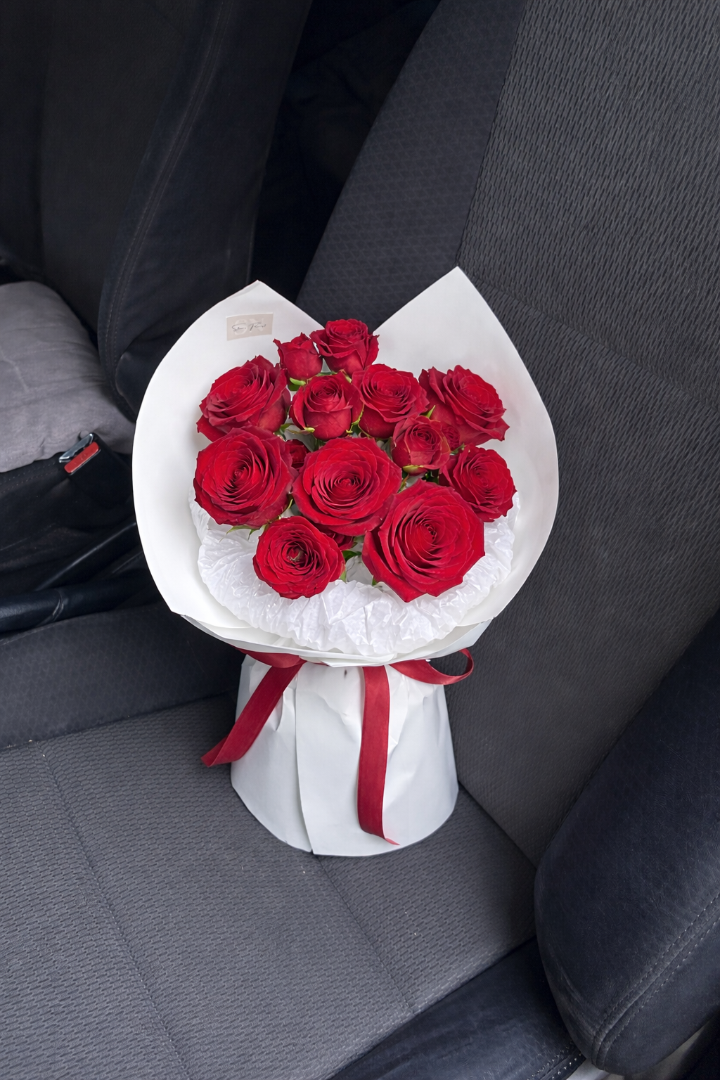 Signature Scarlet_1