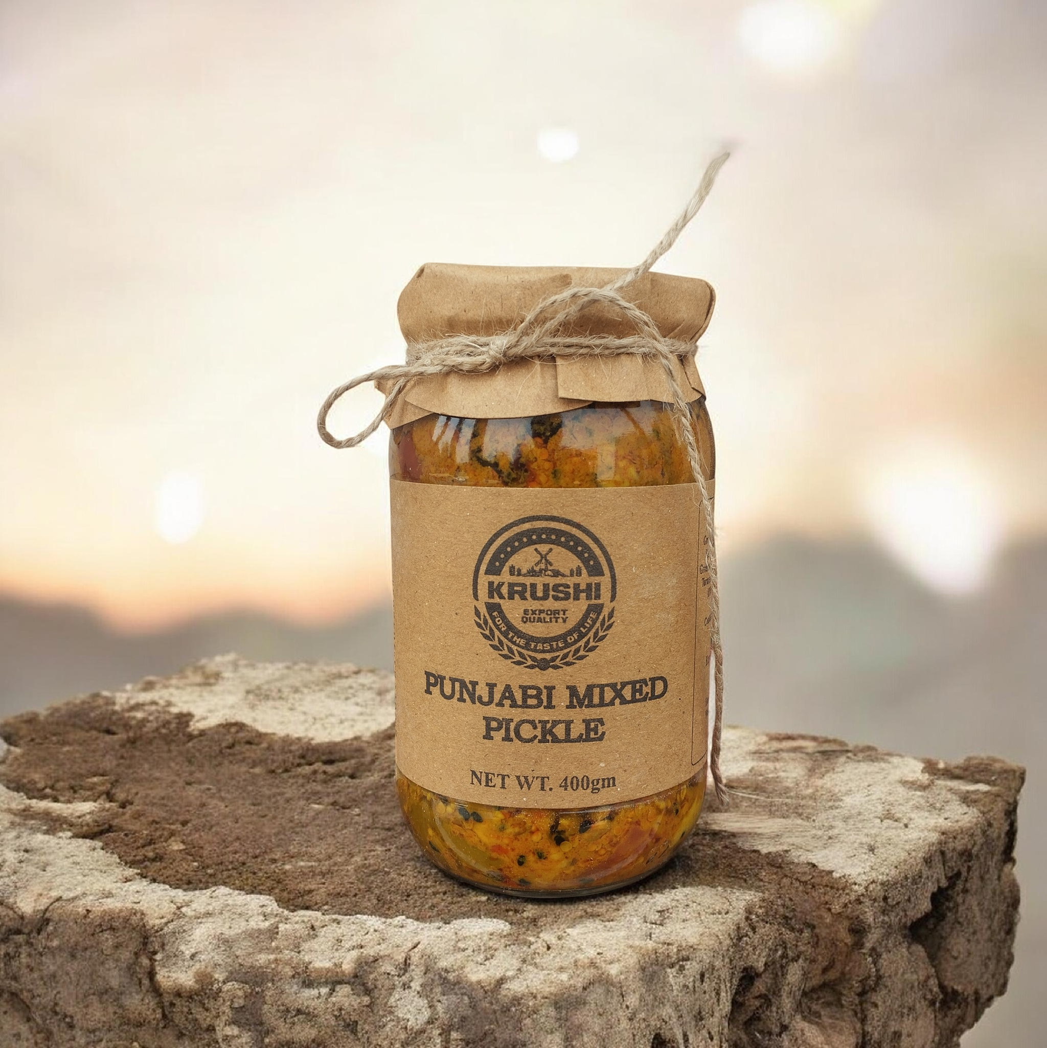Krushi Punjabi mix pickle 400 g_0