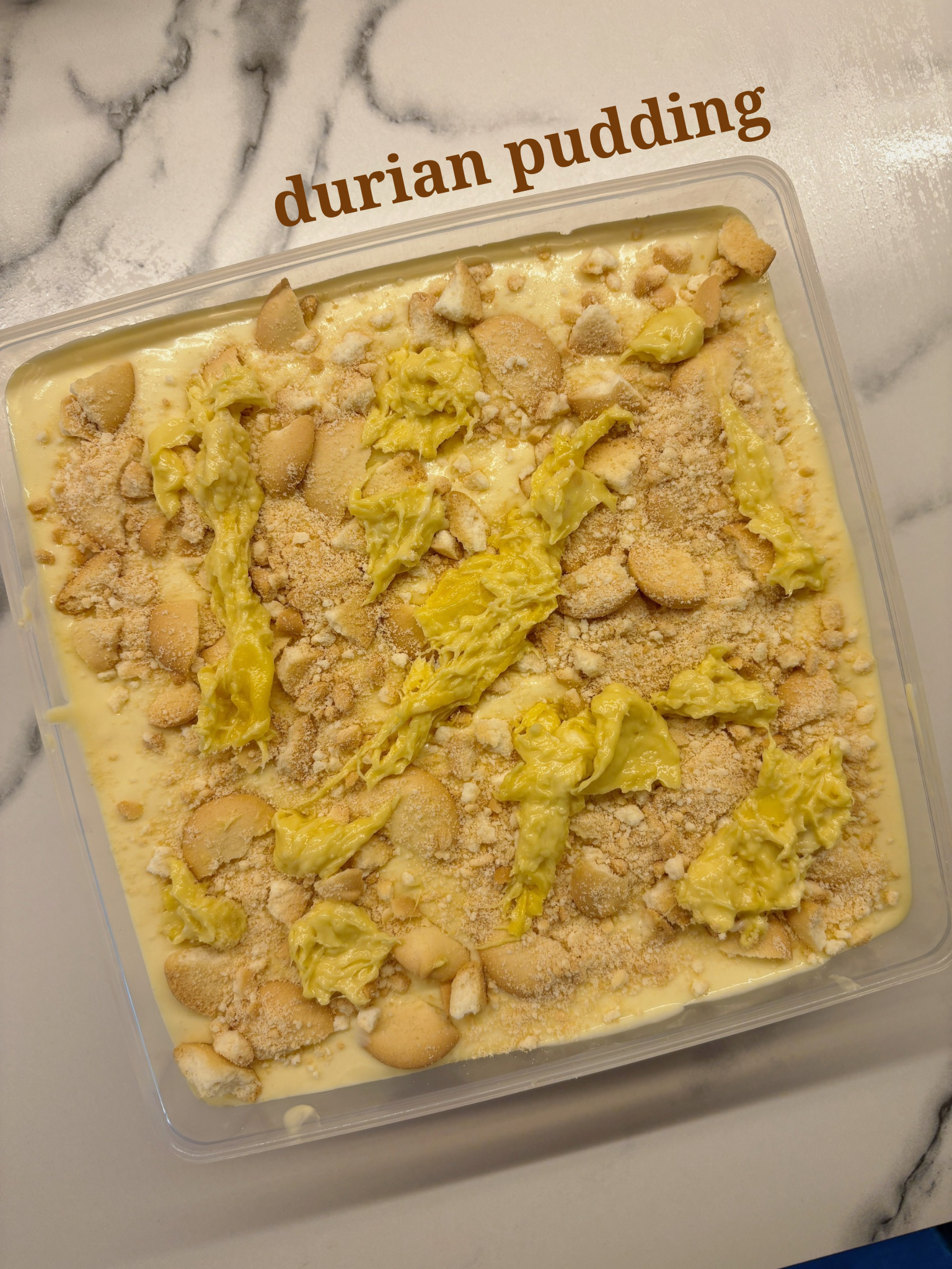 durian pudding (tub) _0