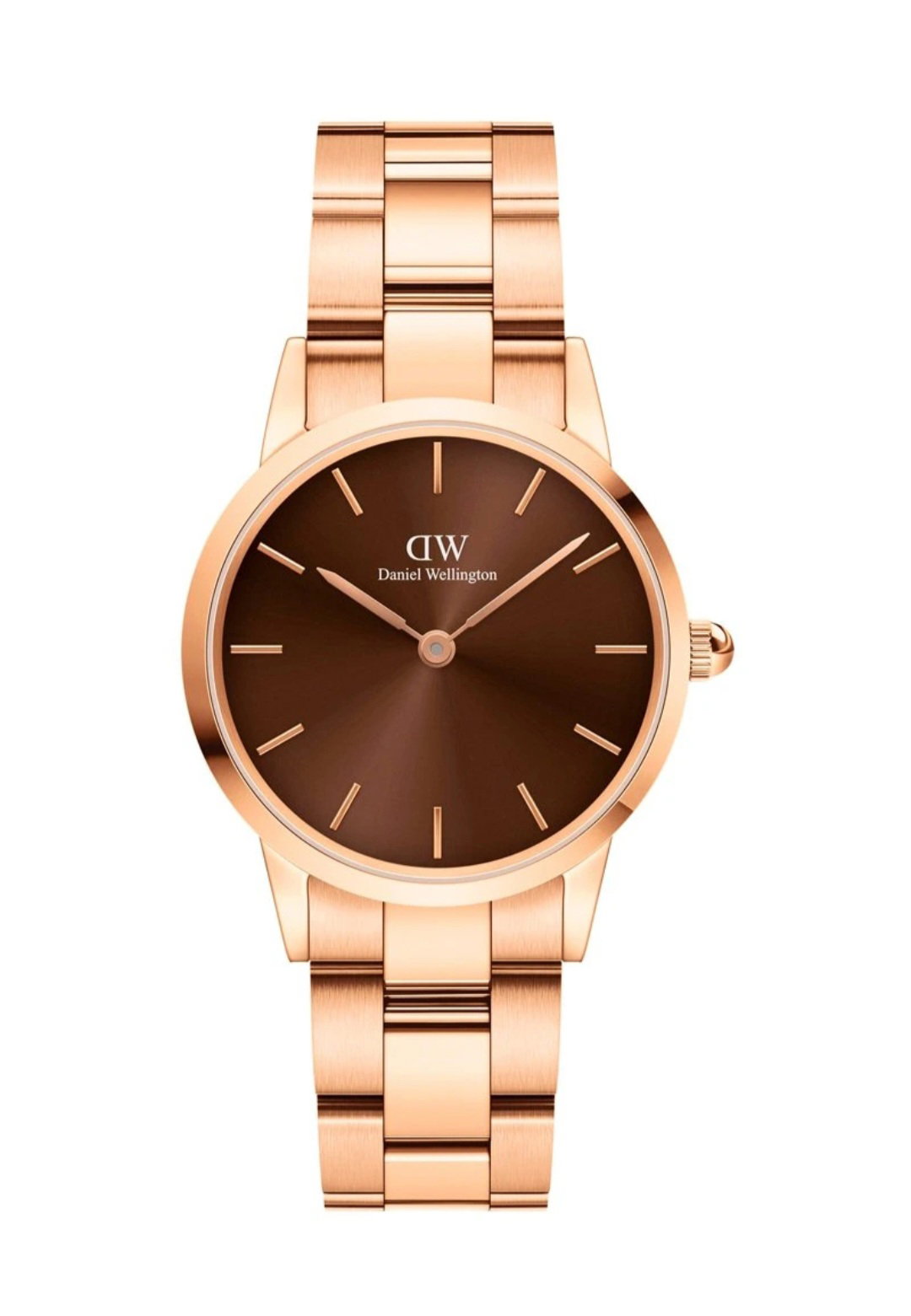Pour Elle - Montre à quartz en acier - Doré rose et marron_3