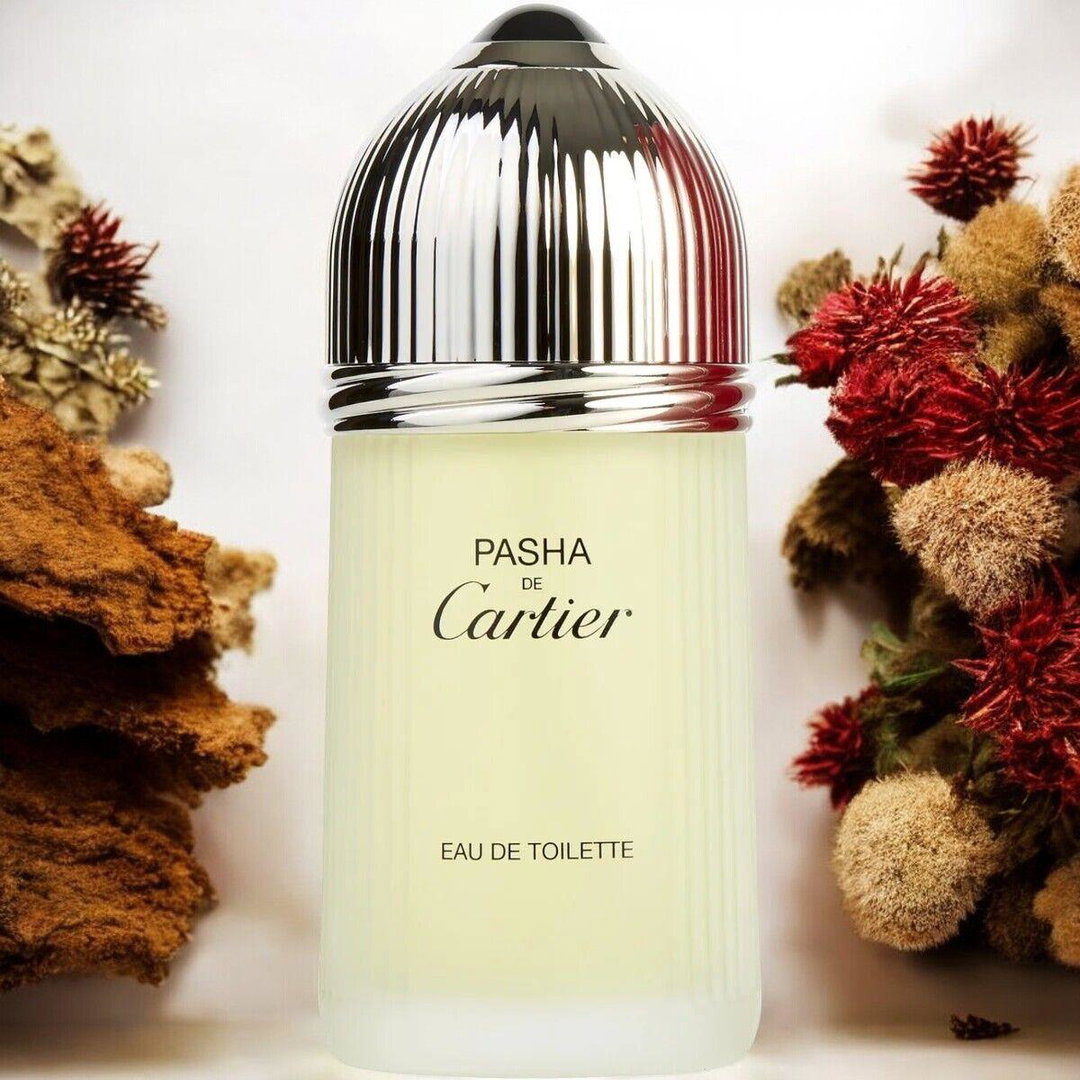 Cartier Pasha Cartier Edt 100ml Perfume