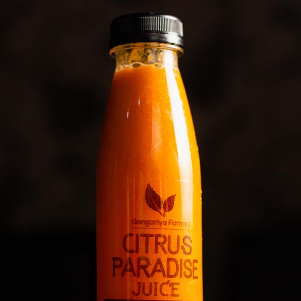 Citrus Paradise_0