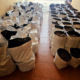 Filled Grow Bags (පිරවූ වගා මලු)