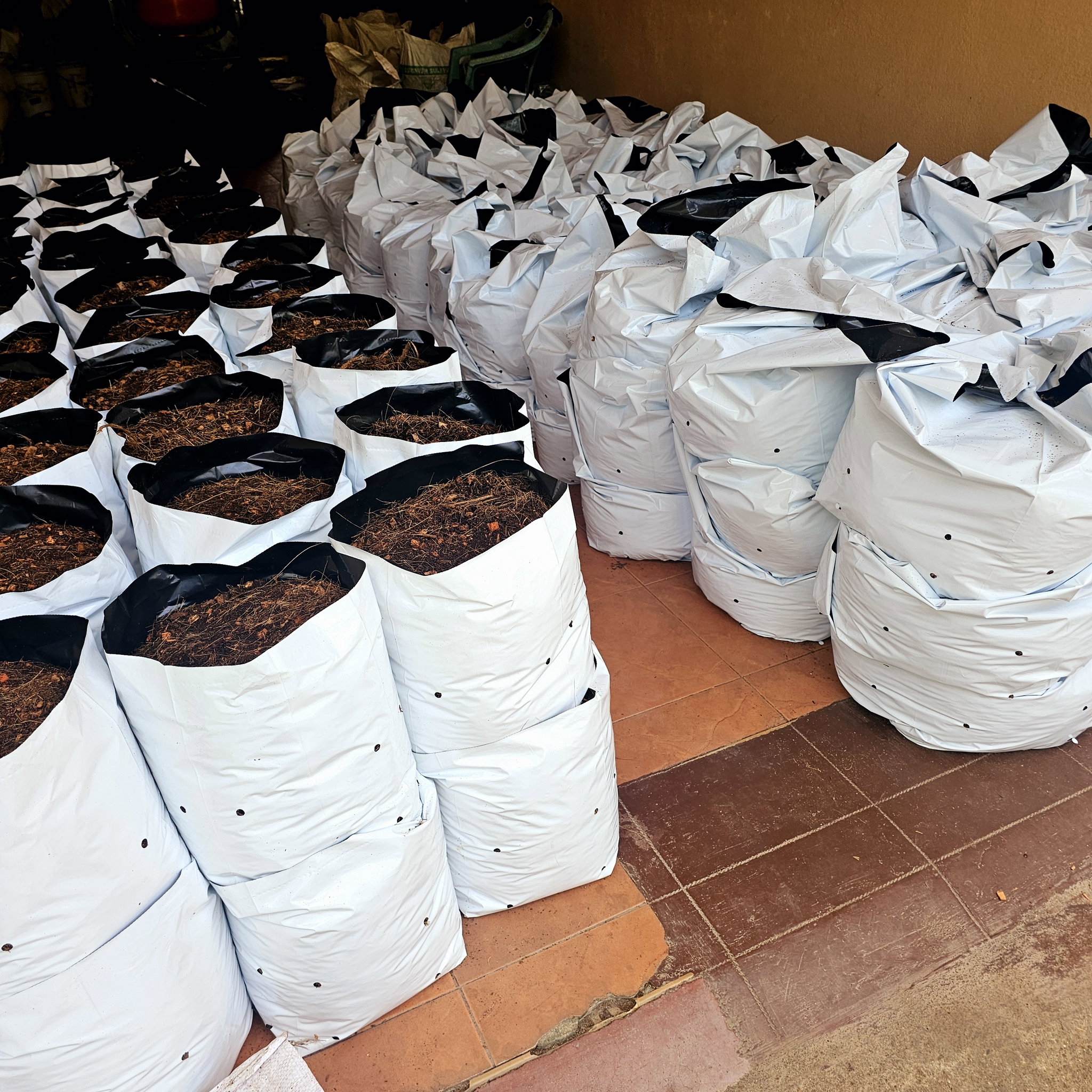 Filled Grow Bags (පිරවූ වගා මලු)_6