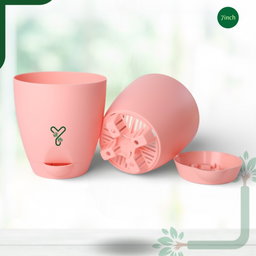 Peach Aqua Self Watering | 5 & 7inch Pot | Pack of 2