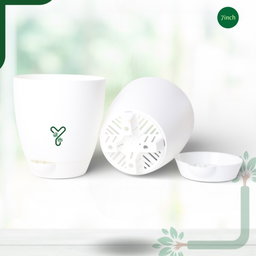 Aqua Self Watering | 5 & 7inch Pot | Pack of 2 | White