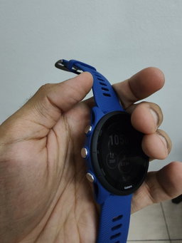 Garmin Forerunner 255