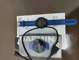 Garmin Forerunner 255