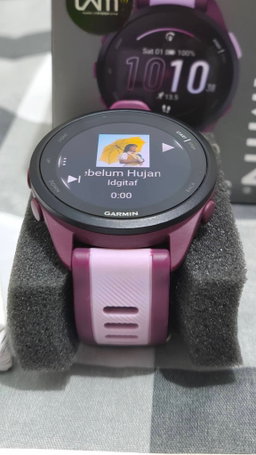 Garmin Forerunner 165 (music)